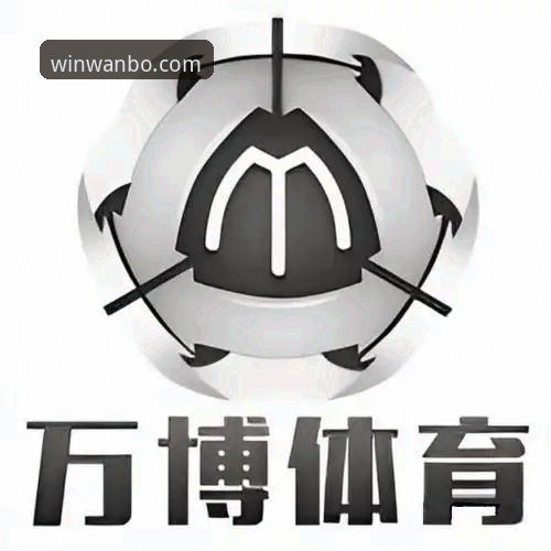 万搏体育平台最新版本使用指南：从下载到实战的完整操作手册